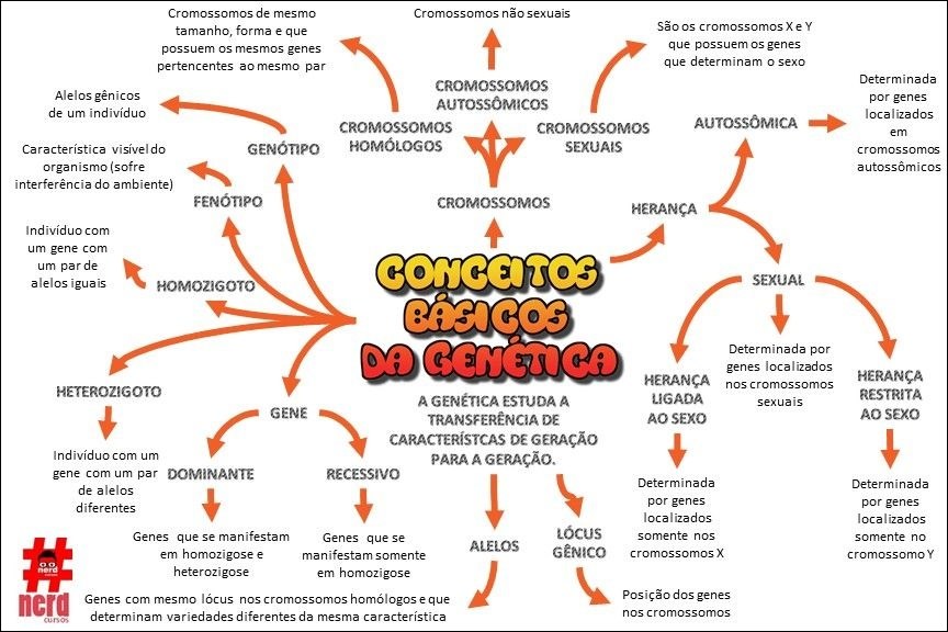 Conceitos de Genética
